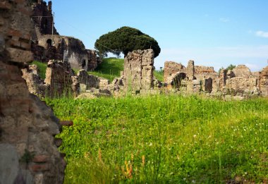 Pompeii, Napoli Körfezi 'nde yer alan ve Herculaneum, Stabiae ve Oplontis gibi volkanik küllerin altında kalan antik bir şehirdir. Bu fotoğraf bahar manzarasını gösteriyor.