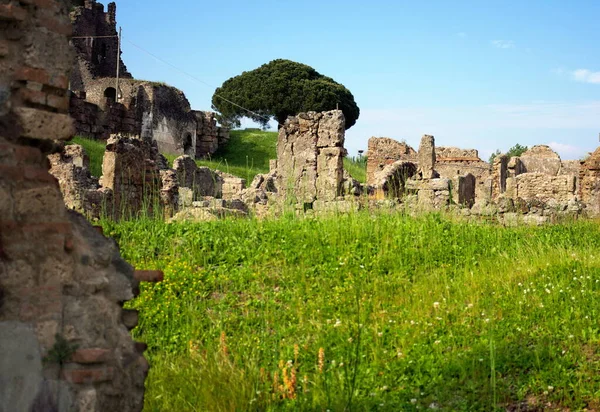 ポンペイはナポリ湾の古代都市で 紀元79年のヴェスヴィオの噴火の際にヘルクラネウム スタビアエ オプロンティスなどが埋葬されたが 火山灰の下ではほとんど保存されていた この写真は春の景色です — ストック写真