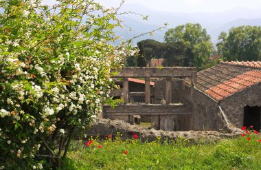 Pompei, Napoli Körfezi 'nde yer alan ve Herculaneum, Stabiae ve Oplontis gibi volkanik küllerin altında kalan antik bir şehirdir.. 