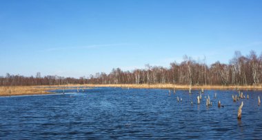 Wittmoor Doğa Koruma Alanı, Almanya 'nın Hamburg eyaletinin kuzeyinde yer almaktadır.