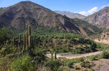 Cajon del Maipo, Şili 'nin başkenti Santiago' nun güneydoğu kesiminde yer alan bir kanyondur. Nehrin kendisini dar bir vadiye kapattığı Maipo Nehri 'nin yukarısındaki havzayı kaplar.. 