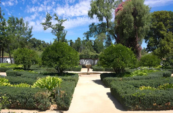 Tour Bodega Santa Rita Esta Foto Muestra Jardín Dentro Bodega — Foto de Stock