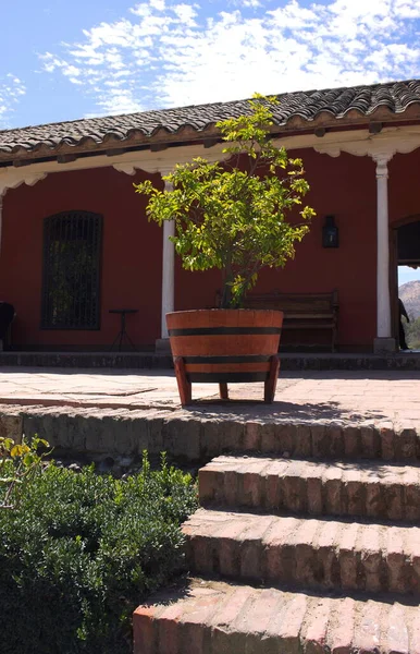 Picture Shows Terrace Roman Style Built Vineyard Santa Rita Chile — Stock Photo, Image