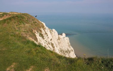 Beachy Head, İngiltere 'nin güney kıyısında, Doğu Sussex' in Eastbourne kenti yakınlarında yer alan bir burundur. Güney Tepeleri 'nin bir parçası olan tebeşir kayalığı, Büyük Britanya' nın en yüksek deniz seviyesinden 162 metre yukarıda bulunuyor.. 