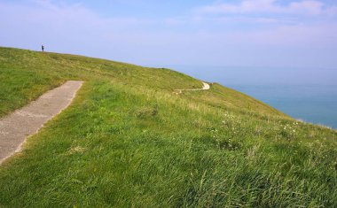 Beachy Head, İngiltere 'nin güney kıyısında, Doğu Sussex' in Eastbourne kenti yakınlarında yer alan bir burundur. Güney Tepeleri 'nin bir parçası olan tebeşir kayalığı, Büyük Britanya' nın en yüksek deniz seviyesinden 162 metre yukarıda bulunuyor..