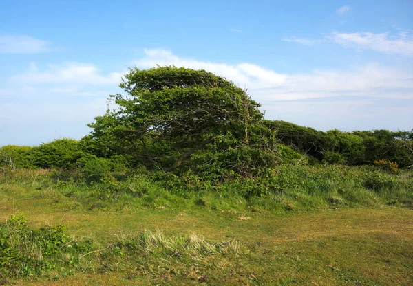 Beachy Head Promontório Costa Sul Inglaterra Perto Cidade Eastbourne East — Fotografia de Stock