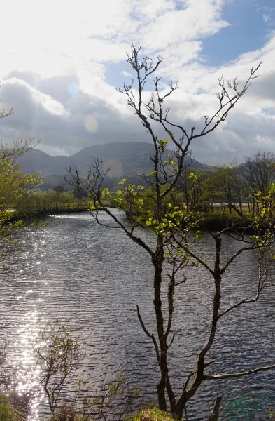 Callop Nehri Boyunca Manzara Doğal Bir Güzelliktir Fotoğraf Skoçya Daki — Stok fotoğraf