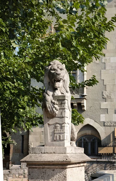 Лев Кам Яним Гребенем Будапешті Охороняє Ваджданьяд Каслте Міському Парку — стокове фото