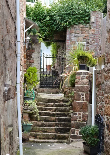 Uma Escadaria Velha Embelezada Com Plantas Quintal Uma Pequena Cidade — Fotografia de Stock