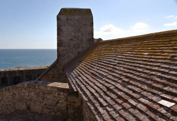 Rooftop Elizabeth Castle — Stockfoto