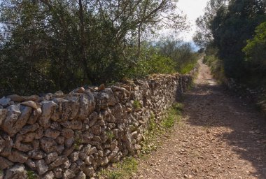 Mallorca 'nın Balear Adası' ndaki Cura Sığınağı 'ndan inen taş duvar boyunca uzanır.