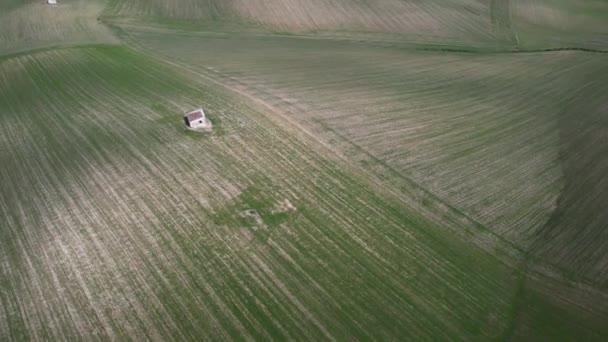 Green Landscape Stunning Fields Filmed Beautiful Province Basilicata Southern Italy — Stock Video