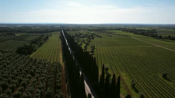 Aerial Video Viale Dei Cipressi Bolgheri Italy Four Kilometer Long — Stock Video