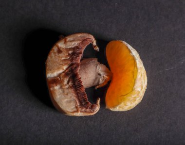 Siyah arka planda mantar ve mantar.