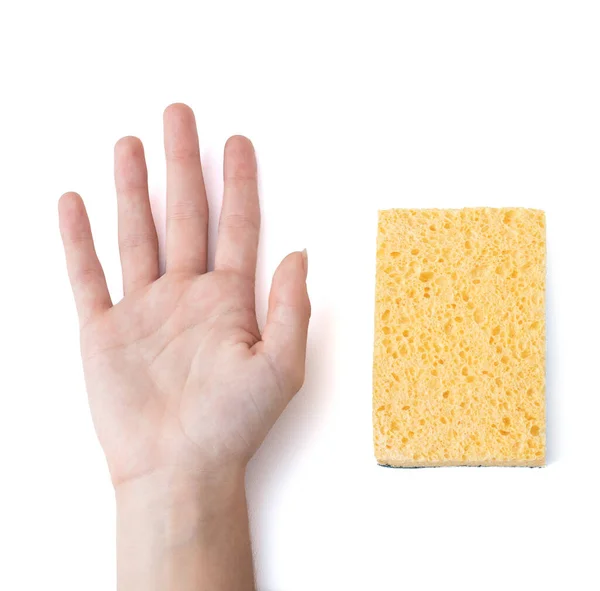 Hand White Background Sponge Next — Stock Photo, Image