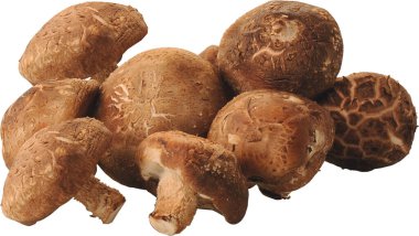 Beyaz arka planda izole edilmiş mantarlar, nesne, tasarım, taze gıda, sebze, vejetaryen, tarım, organik, doğa sağlıklı.