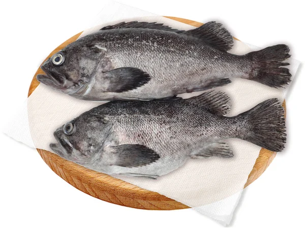 Roher Frischer Fisch Kerapu Isoliert Auf Weißem Hintergrund Objekt Design — Stockfoto