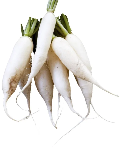 Small Vegetable Daikon Fresh Green Asparagus White Background — Stock Photo, Image