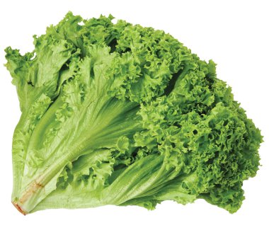 Beyaz arkaplanda taze çiğ marul salatası, nesne, tasarım, taze gıda, sebze, tarım, organik, doğa sağlıklı