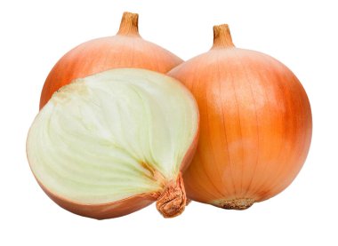Beyaz arkaplanda soğan izole edildi