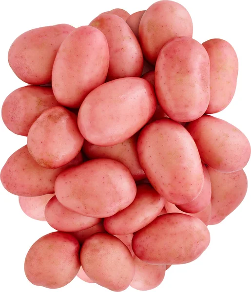 Raw Pemberton Premium Red Potato Isolated White Background Object Design — Stock Photo, Image