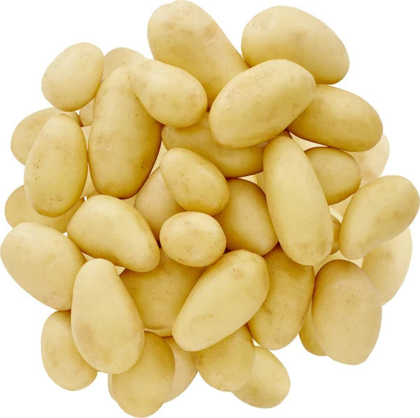 Raw Pemberton Premium White Potato Isolated White Background Object Design — Stock Photo, Image