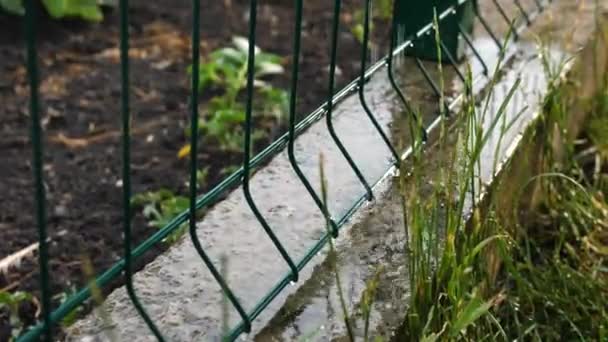 Esőcseppek Átszaladnak Kerítésen Zöld Rácsos Kerítés Eső Betonra Esik Nyár — Stock videók