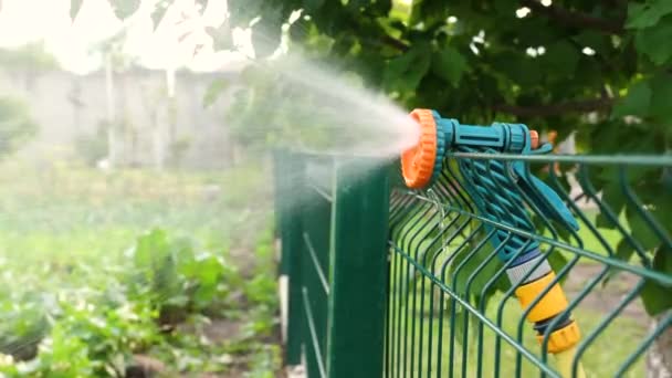 给花园浇水的枪水在浇灌菜园 水枪挂在栅栏上 — 图库视频影像