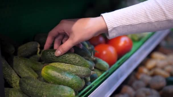 商店货架上的黄瓜和西红柿 超级市场出售黄瓜 有蔬菜的部门天然产品 — 图库视频影像