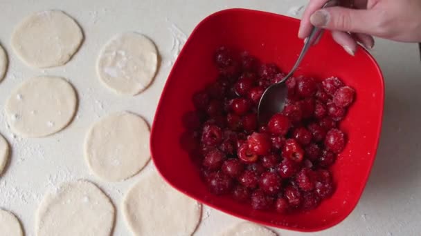 Bowl Cherries Sugar Red Ripe Cherries Preparations Dough Ukrainian Cuisine — Stok video