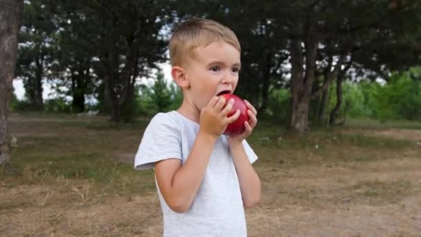 Das Kind Beißt Einen Apfel Ein Kind Hintergrund Der Natur — Stockvideo