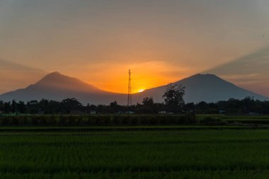 İki dağın ortasındaki günbatımının güzelliği, Paddy Field 'ın bir uzantısıyla birleşti.