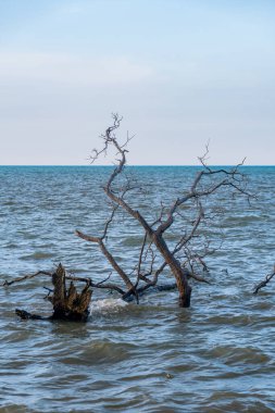 Very wide tropical beach with calm waves during the day with blue sky with clumps of clouds