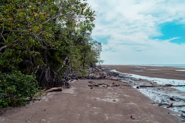 Black sand beach in Talisayan, East Kalimantan which is receding, the waves are relatively calm and the sky is cloudy