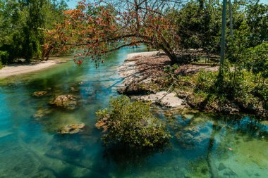 Downstream of the river in Kalimantan which is very clear to the bottom which is full of rocks and sand as deep as 1 to 2 meters is clearly visible from the surface, an extraordinary & rare sight