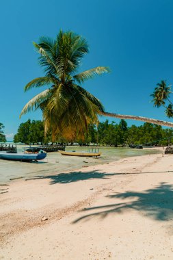 Biduk-Biduk, Doğu Kalimantan, Endonezya plajı. Sakin dalgalar, berrak mavi sular, hindistan cevizi ağaçları ve turistlerin gözlerini bozan beyaz kumlar.