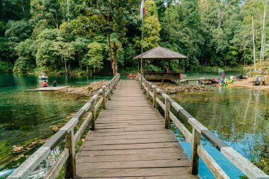 Suyun dibi ve su biyotası net bir şekilde görünene kadar temiz suyla inanılmaz bir göl, bu göl Doğu Kalimantan, Endonezya 'da sık ağaçlarla çevrilidir.