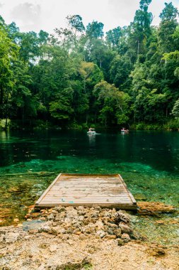 Suyun dibi ve su biyotası net bir şekilde görünene kadar temiz suyla inanılmaz bir göl, bu göl Doğu Kalimantan, Endonezya 'da sık ağaçlarla çevrilidir.