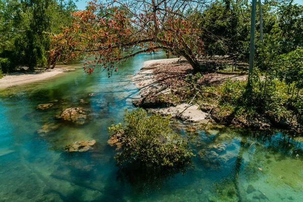 Downstream of the river in Kalimantan which is very clear to the bottom which is full of rocks and sand as deep as 1 to 2 meters is clearly visible from the surface, an extraordinary & rare sight
