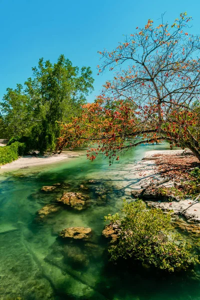 Downstream River Kalimantan Which Very Clear Bottom Which Full Rocks — Zdjęcie stockowe