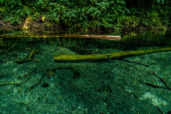 Amazing Lake Clear Water Bottom Water Aquatic Biota Clearly Visible — Zdjęcie stockowe