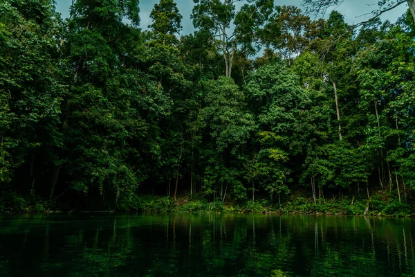 Amazing Lake Clear Water Bottom Water Aquatic Biota Clearly Visible — Zdjęcie stockowe