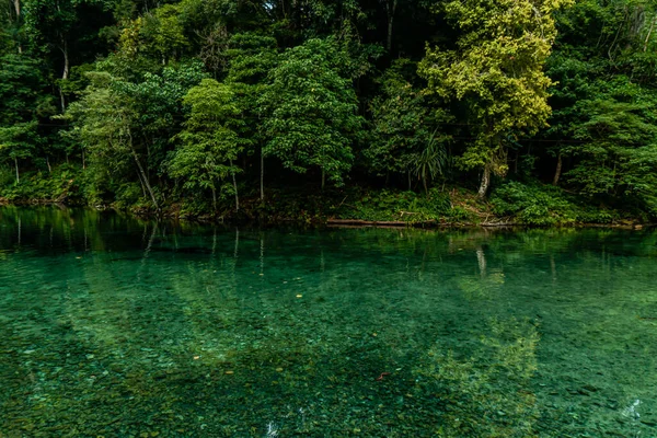 Lago Incrível Com Água Limpa Até Fundo Água Biota Aquática — Fotografia de Stock