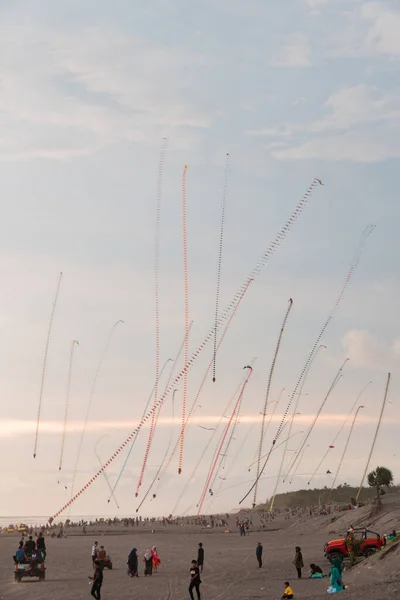 Dragon Kites Fly Sky Parangtritis Beach Yogyakarta Indonesia Evening Sun — Stockfoto
