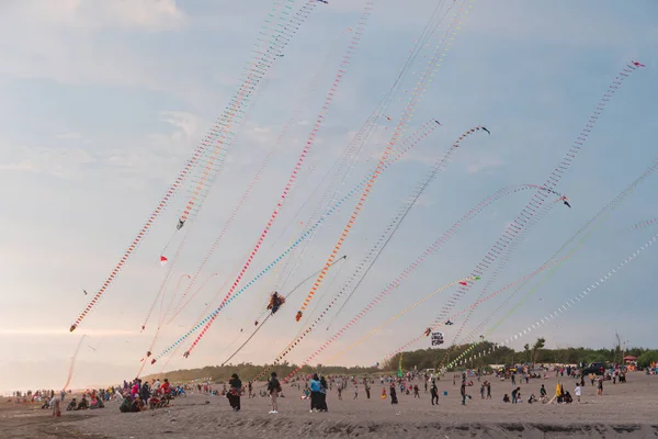 Dragon kites that fly in the sky of Parangtritis beach, Yogyakarta, Indonesia when the evening until the sun goes down, becoming an interesting spectacle for visiting tourists.