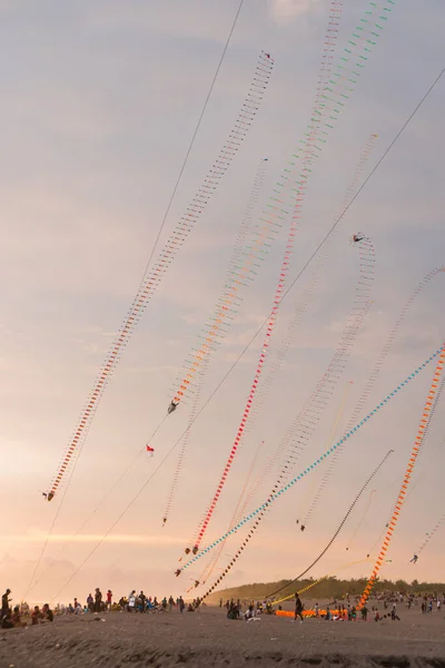 Dragon Kites Fly Sky Parangtritis Beach Yogyakarta Indonesia Evening Sun — Fotografia de Stock