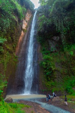 The beauty of Sidoharjo Waterfall, a straight waterfall that is 72 meters high surrounded by cliffs, is the tallest in the province of Yogyakarta, Indonesia