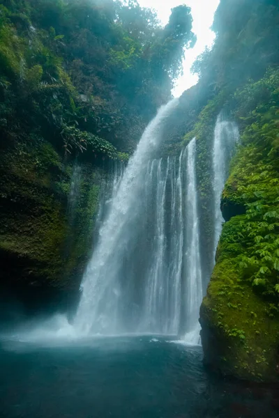 Tiu Kelep Waterfall Which Located Island Lombok Indonesia Has Natural — Photo