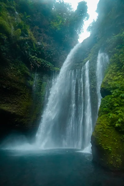 Tiu Kelep Waterfall Which Located Island Lombok Indonesia Has Natural — Photo