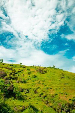 Yeşil Tepeler 'in güzelliği, Endonezya' nın Gunung Kidul sahilinin hemen yanındaki pirinç tarlaları ve plantasyonların hakimiyetinde.